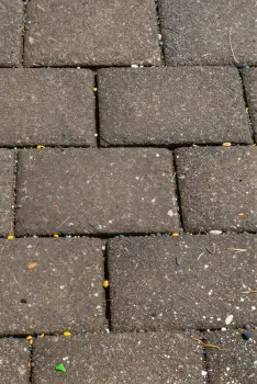 Close-up of a brick pavement with debris asphalt