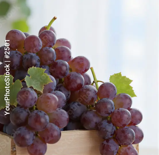 Ripe Purple Grapes in Wooden Crate bunch fruit vine