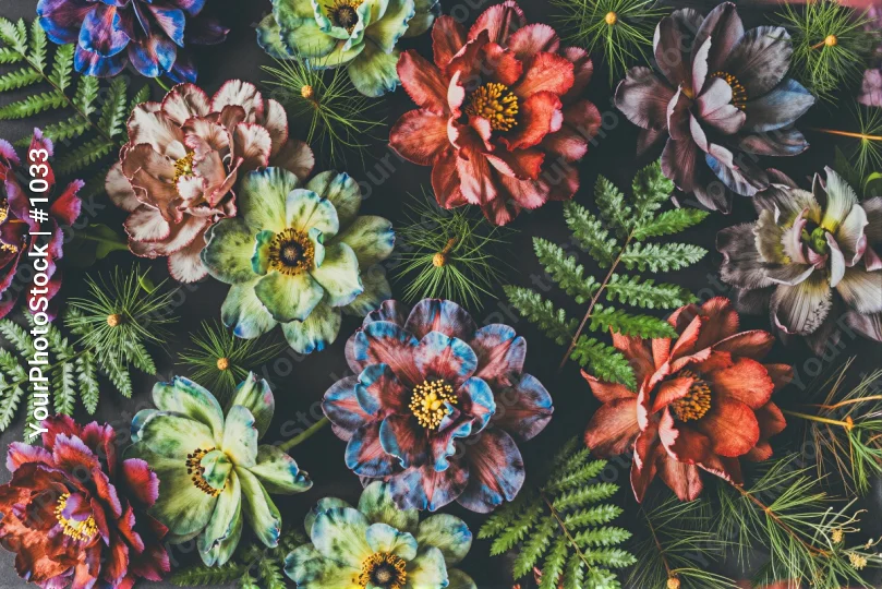 Colorful Flowers and Ferns Close-Up vibrant dark background