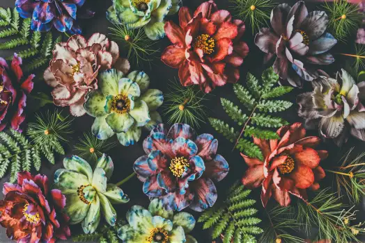 Colorful Flowers and Ferns Close-Up vibrant dark background