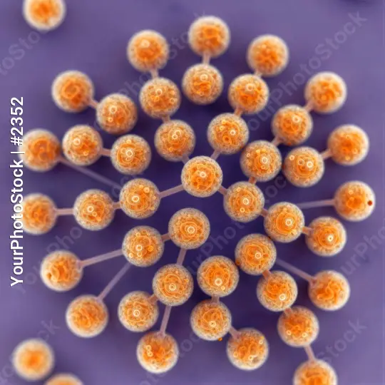 Microscopic Orange Spheres Arranged in Circle