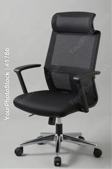 Ergonomic Black Office Chair with Adjusted Backrest