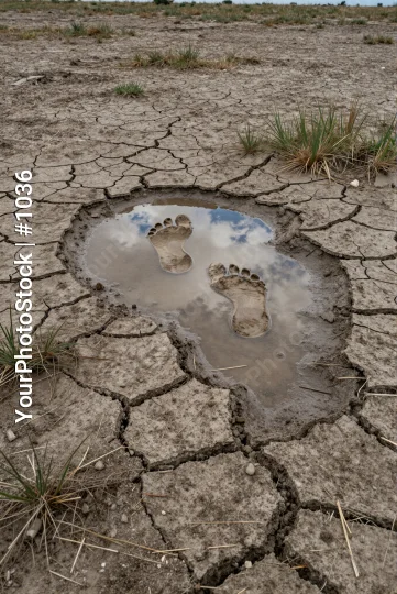 Circular puddle of water in cracked earth with footprints