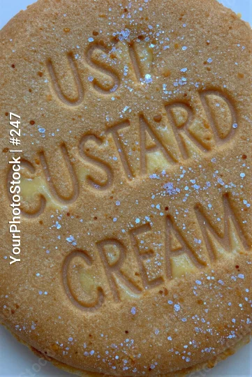 Custard Cream Cookie Close-Up freshly baked