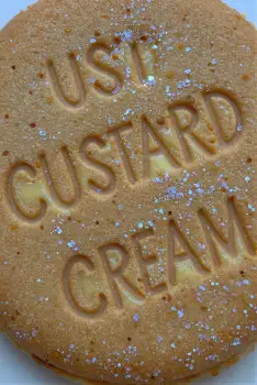 Custard Cream Cookie Close-Up freshly baked