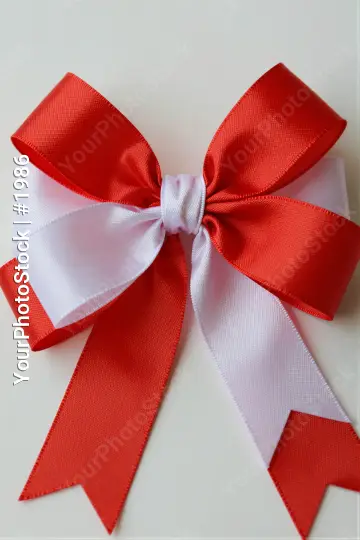 Red and White Ribbon Bow fashion craft knot satin gift