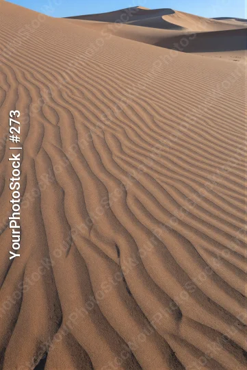 Desert Landscape with Smooth Sand Waves smooth texture