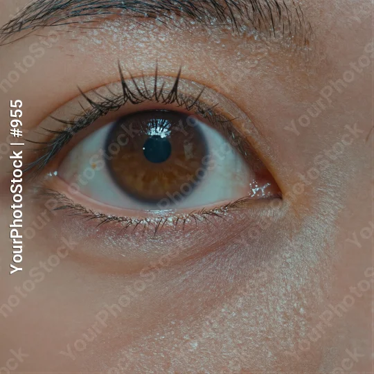 Close-up of deep brown eye with blue center iris