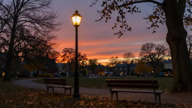 Sunset Park Scene with Lamppost and Benches fallen leaves