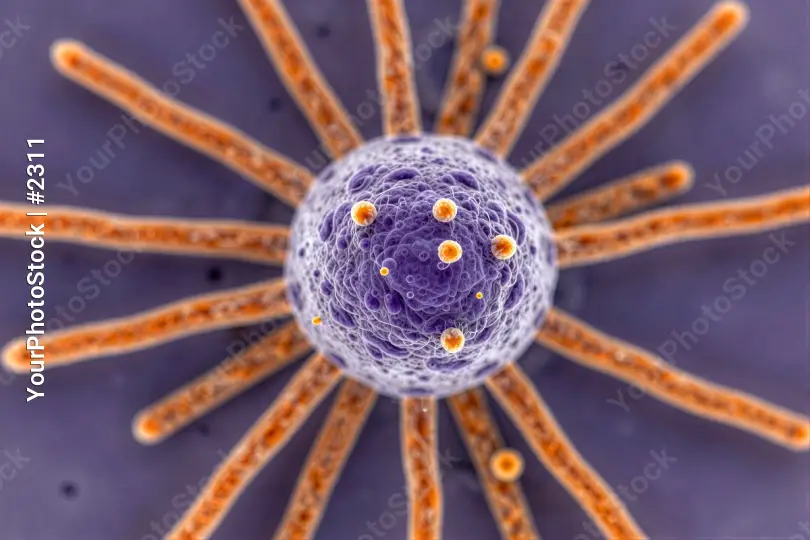 Microscopic Cell with Purple Nucleus and Orange Tentacles