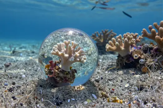 Underwater Coral Reef with Floating Object mysterious