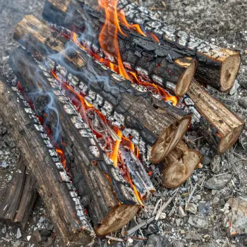 Campfire Flames Burning Brightly wooden logs bright orange