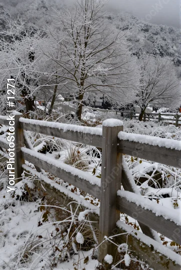 Snow-covered wooden fence in rural area with walker