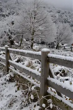 Snow-covered wooden fence in rural area with walker