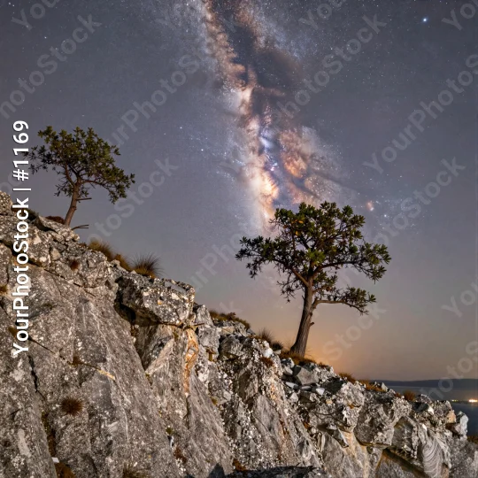 Rocky Cliff Overlooking Ocean at Night with Starry Sky