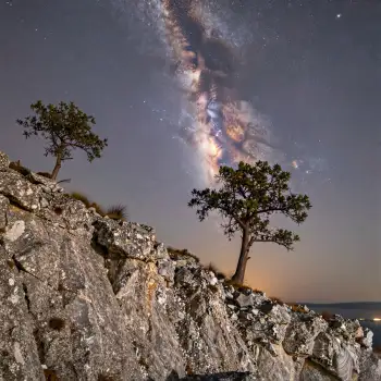 Rocky Cliff Overlooking Ocean at Night with Starry Sky