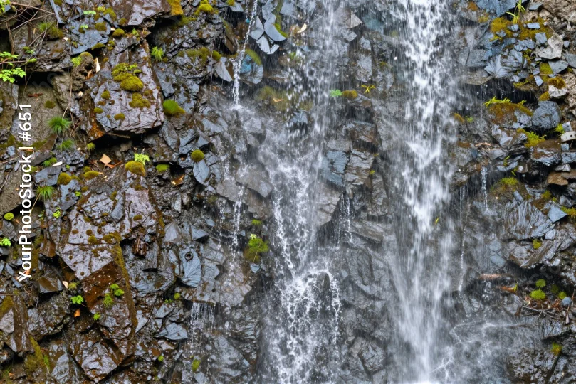 Serene Waterfall Cascading Over Rocky Cliffs moss