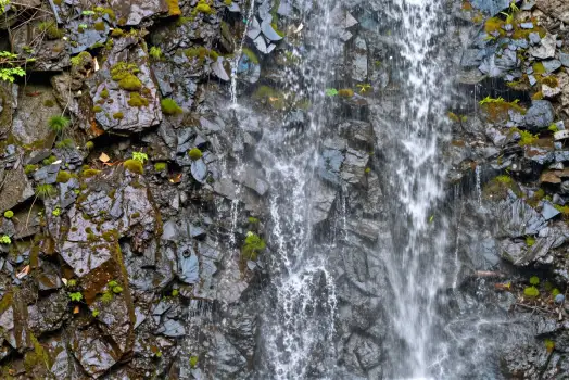 Serene Waterfall Cascading Over Rocky Cliffs moss