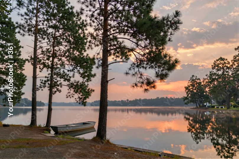 Lake at Sunset with Pine Trees and Calm Waters