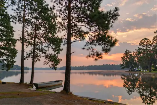 Lake at Sunset with Pine Trees and Calm Waters