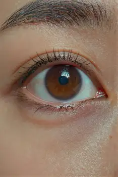 Close-up of a person's eye with deep brown iris and blue center