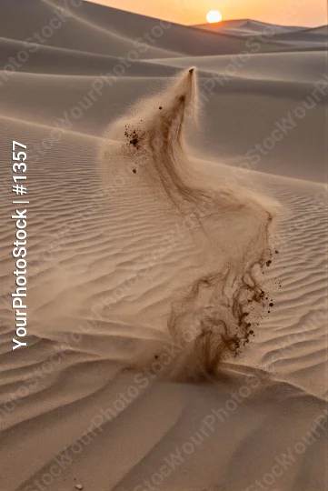 Desert Landscape at Sunset with Wave-like Sand Dune