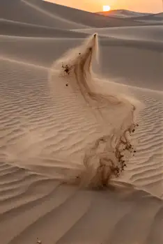 Desert Landscape at Sunset with Wave-like Sand Dune