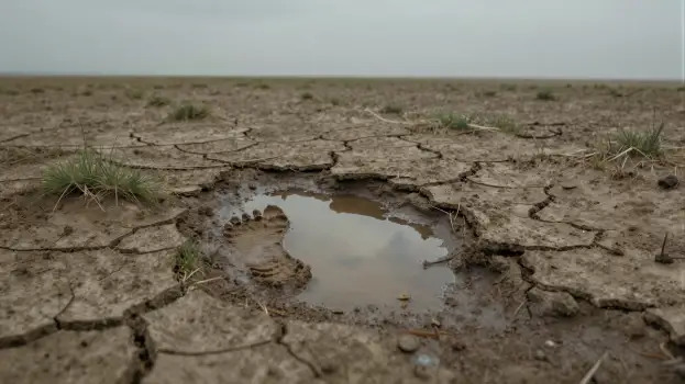 Dry cracked ground with water puddle in desert