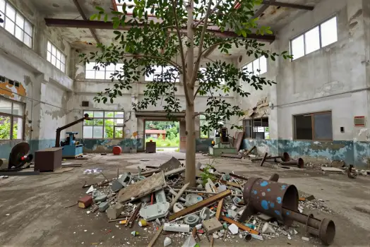Abandoned Industrial Building with Tree urban decay