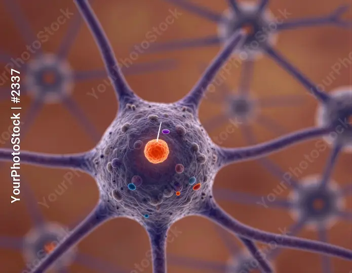 Neuron Cell with Radial Neurons 3D Rendering radial pattern