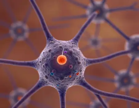 Neuron Cell with Radial Neurons 3D Rendering radial pattern
