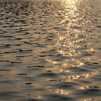 Calm Water Reflecting Sunset reflection serene