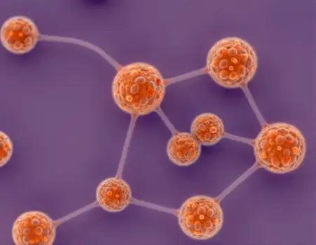 Orange Spheres Network Microscopy sem rendering