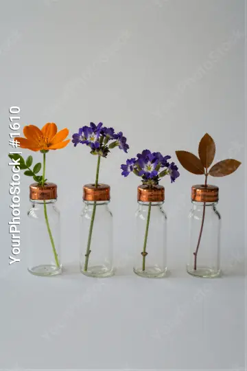Four Glass Vases with Flowers on White Surface