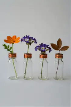 Four Glass Vases with Flowers on White Surface
