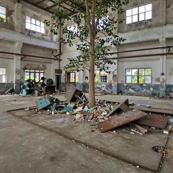 Abandoned Industrial Building with Tree neglect