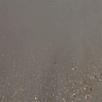 Decaying Gray Surface with Speckles wet debris