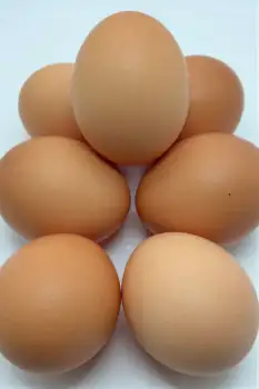 Six Brown Eggs in Pyramid Formation fresh uncooked