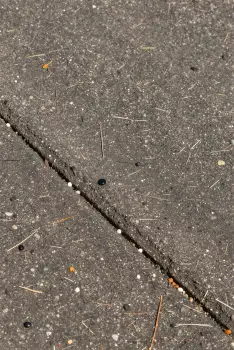 Cracked Concrete Surface with White Dots and Orange Objects
