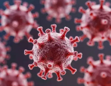 Red Spherical Viruses with Spikes 3D Rendering