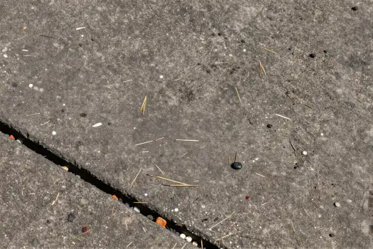 Uneven Concrete Surface with Debris and Sticks