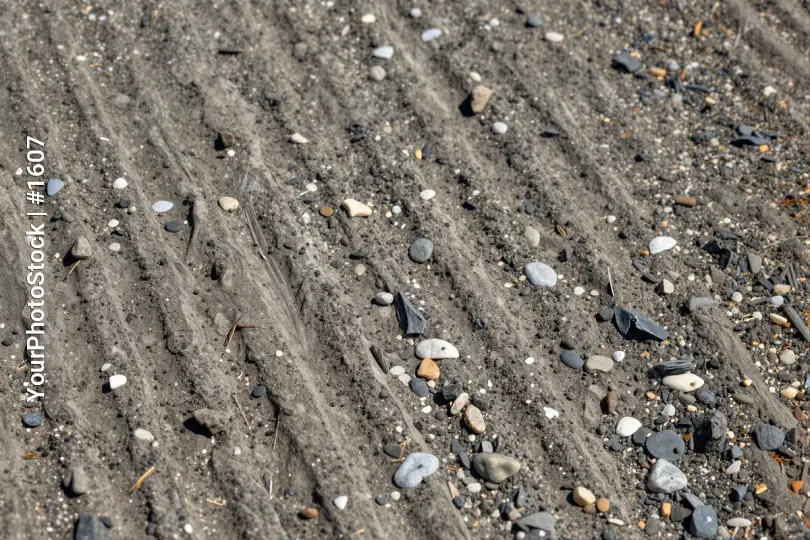 Close-up of Freshly Plowed Dirt with Rocks and Pebbles