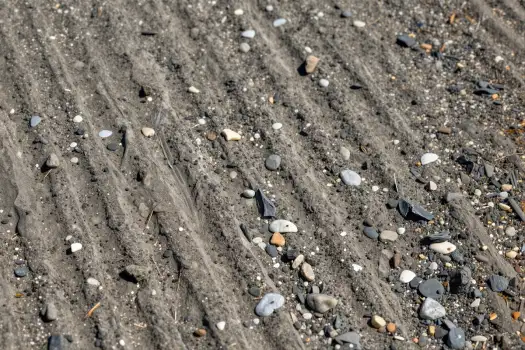 Close-up of Freshly Plowed Dirt with Rocks and Pebbles