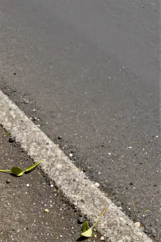 Wet Road with Leaf - Low Angle Close-Up debris