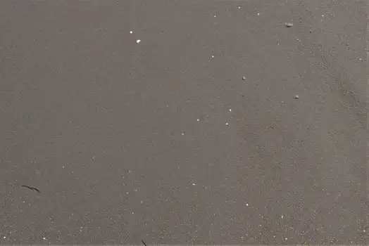 Gray Surface with White Dots and Small Objects texture