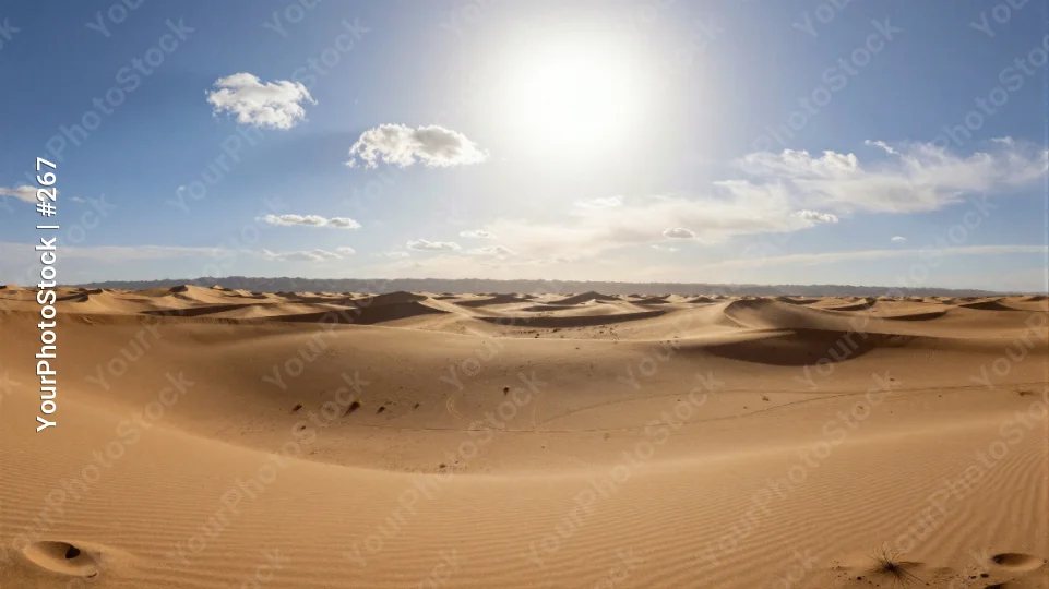 Vast Desert Landscape with Sunlit Sand Dunes serene