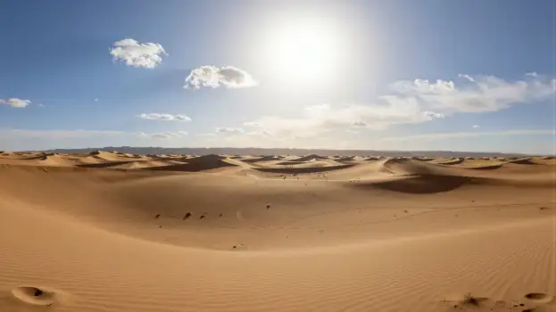 Vast Desert Landscape with Sunlit Sand Dunes serene