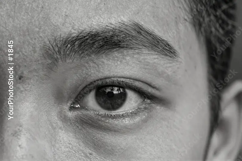 Close-up Black and White Eye with Iris and Pupil