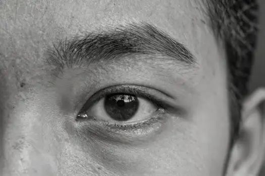 Close-up Black and White Eye with Iris and Pupil