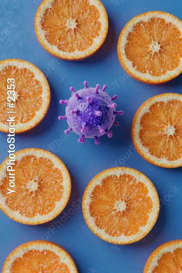 Orange Slices Arrangement with Bacteria-like Structure